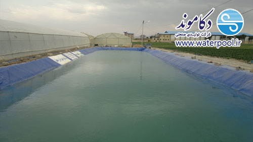 طراحی سایت طراحی سایت
